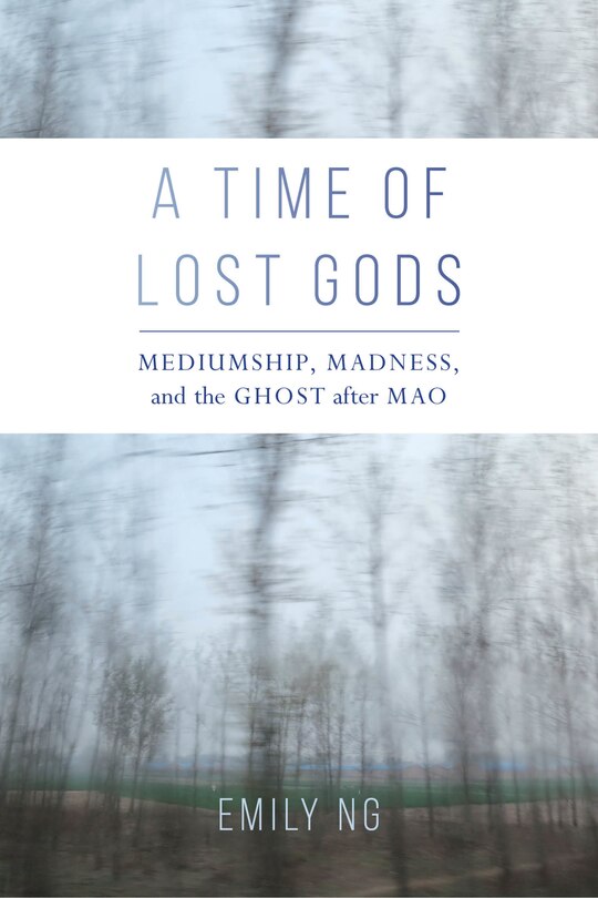 Couverture_A Time Of Lost Gods