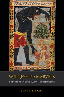 Front cover_Witness To Marvels
