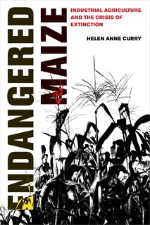 Couverture_Endangered Maize