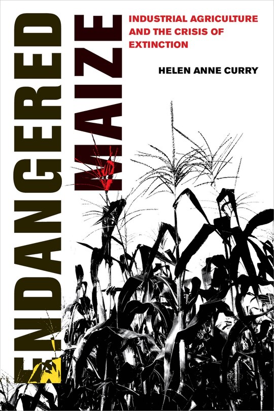 Front cover_Endangered Maize