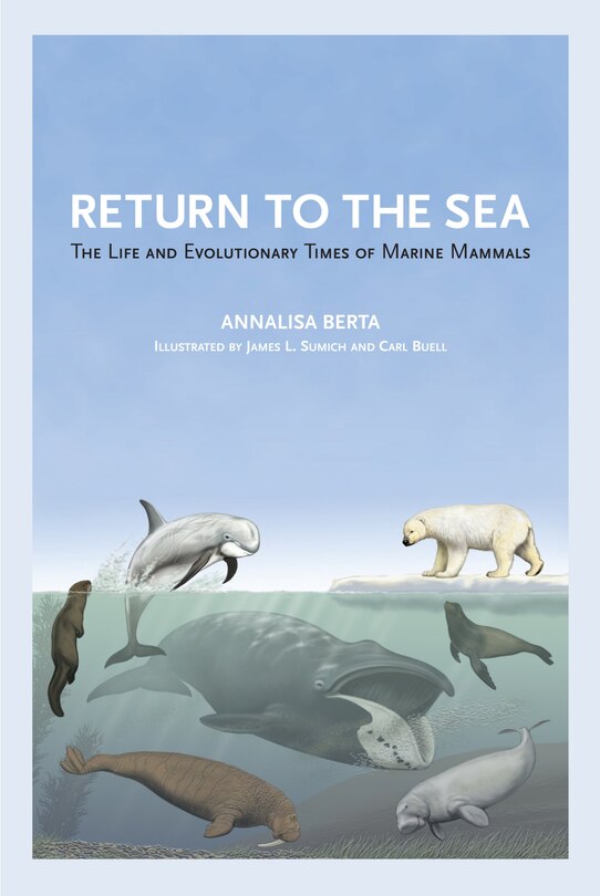 Front cover_Return To The Sea