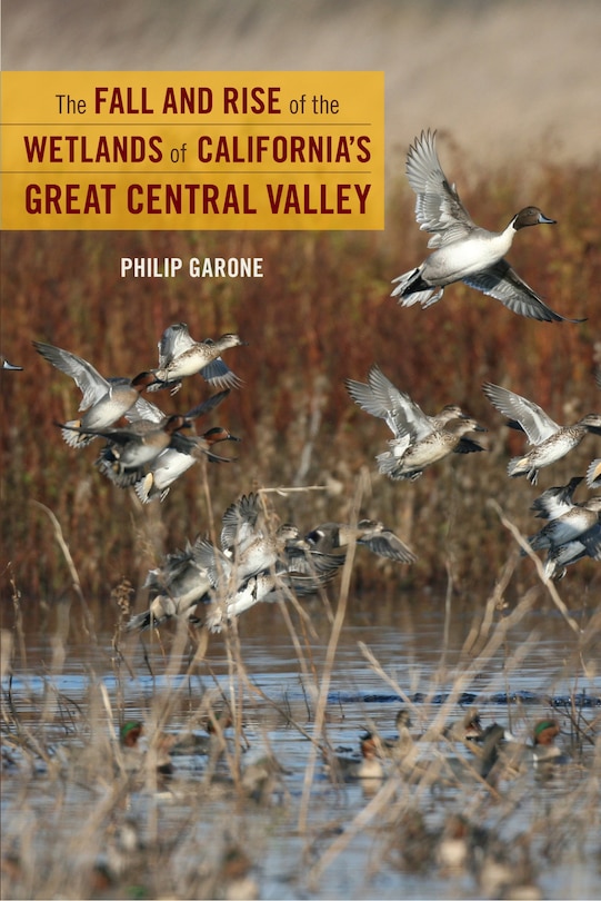 Front cover_The Fall And Rise Of The Wetlands Of California's Great Central Valley
