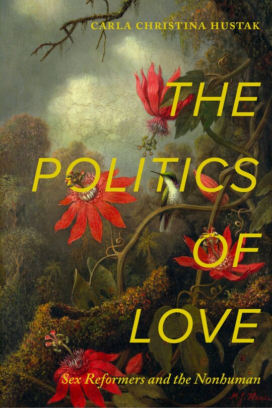 Front cover_The Politics of Love