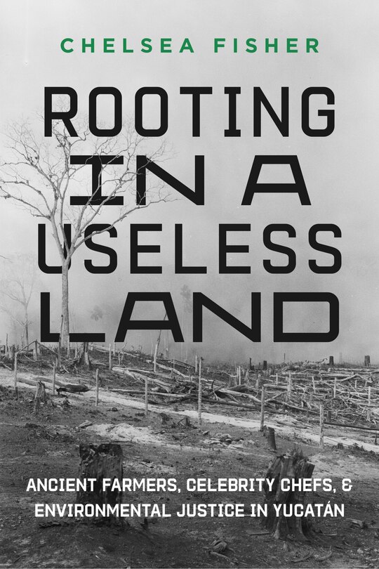 Couverture_Rooting in a Useless Land