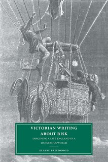 Front cover_Victorian Writing About Risk