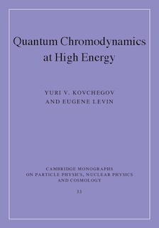 Front cover_Quantum Chromodynamics at High Energy