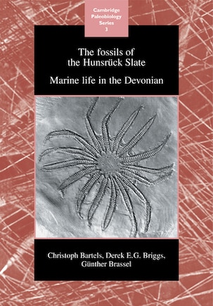 The Fossils Of The Hunsrück Slate: Marine Life in the Devonian