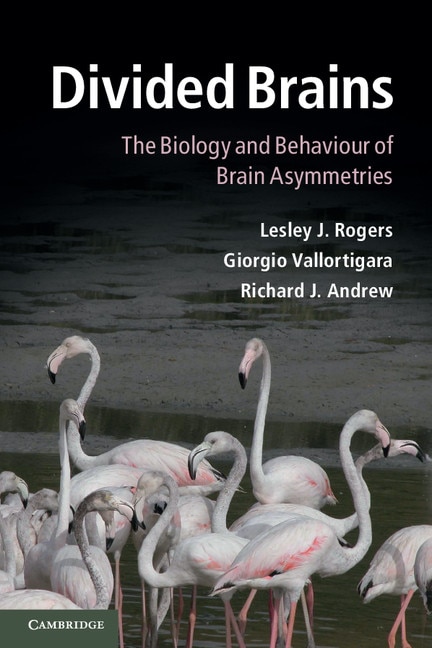Couverture_Divided Brains