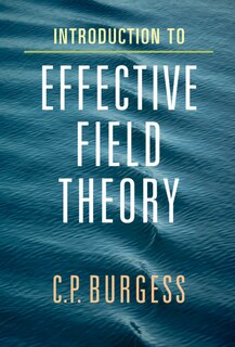 Front cover_Introduction To Effective Field Theory