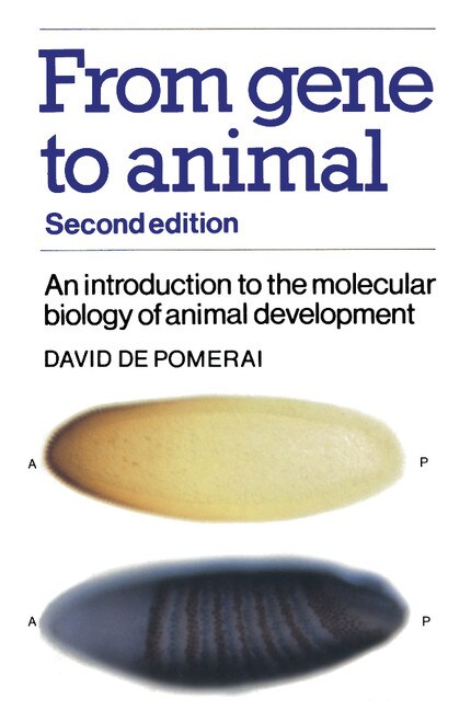 Couverture_From Gene to Animal