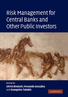 Front cover_Risk Management for Central Banks and Other Public Investors