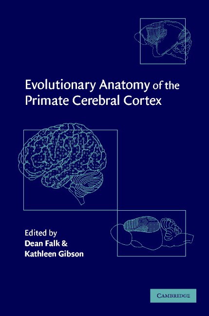 Couverture_Evolutionary Anatomy of the Primate Cerebral Cortex