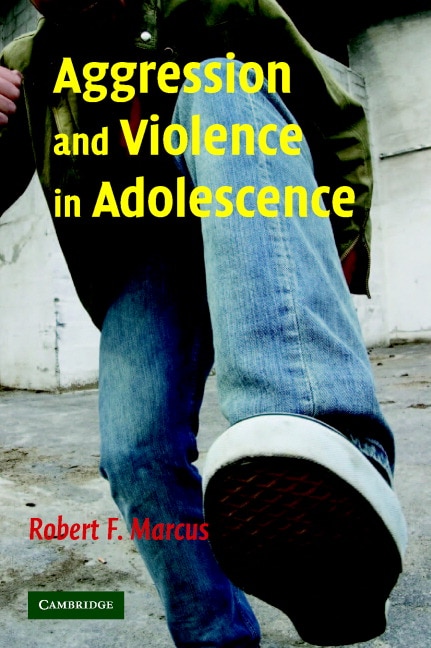 Front cover_Aggression and Violence in Adolescence