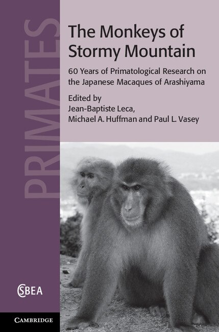 Couverture_The Monkeys of Stormy Mountain