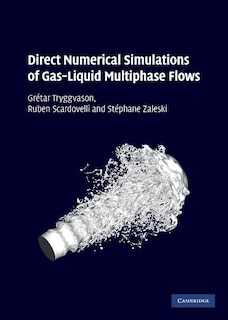 Front cover_Direct Numerical Simulations of Gas–Liquid Multiphase Flows