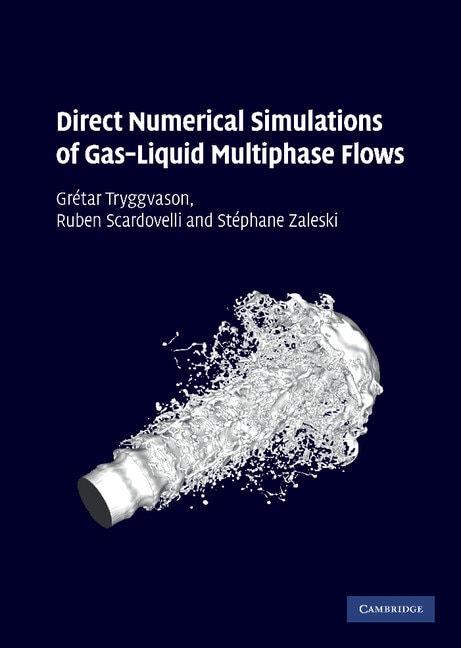 Front cover_Direct Numerical Simulations of Gas–Liquid Multiphase Flows