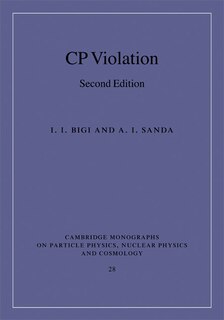 Couverture_CP Violation