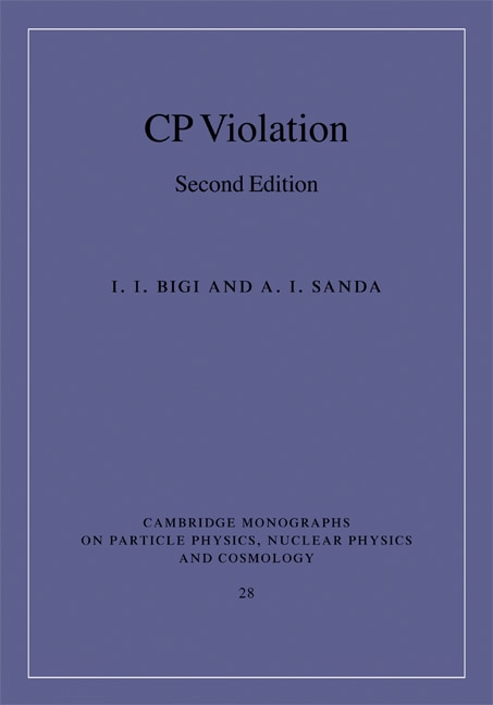 Couverture_CP Violation