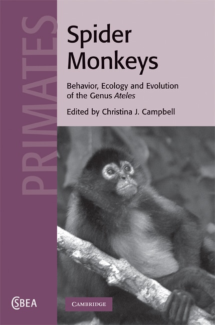 Couverture_Spider Monkeys