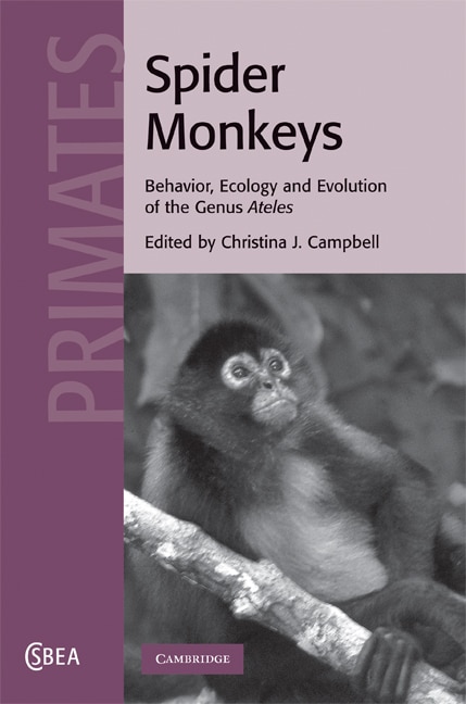 Spider Monkeys: Behavior, Ecology And Evolution Of The Genus Ateles