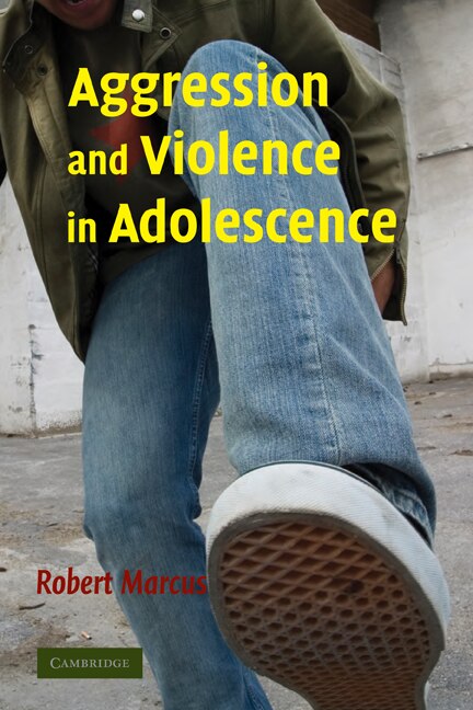 Front cover_Aggression and Violence in Adolescence