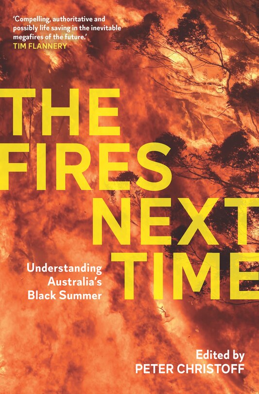Front cover_Fires Next Time