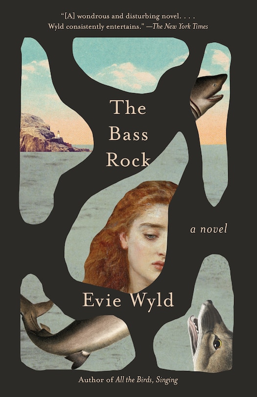 Front cover_The Bass Rock
