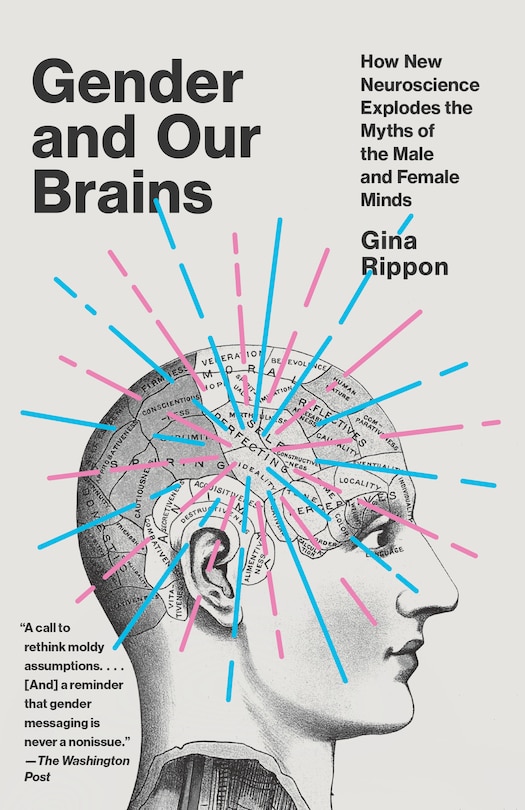 Couverture_Gender And Our Brains