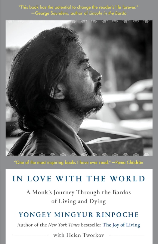 Couverture_In Love With The World