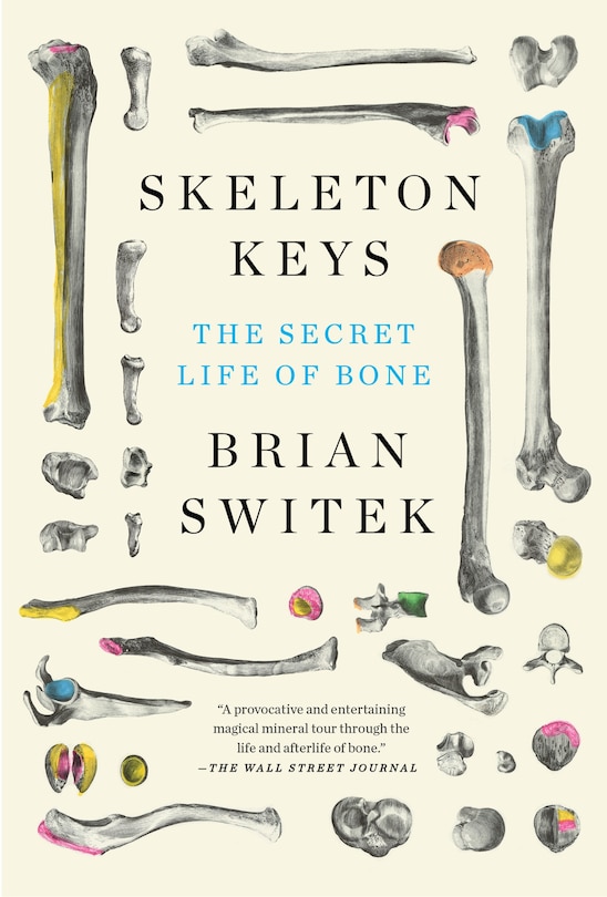 Front cover_Skeleton Keys