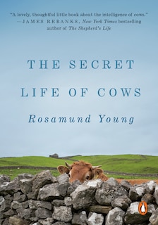 Front cover_The Secret Life Of Cows
