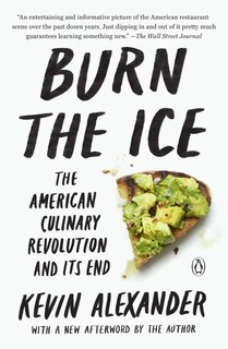 Couverture_Burn The Ice