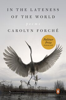 Couverture_In The Lateness Of The World
