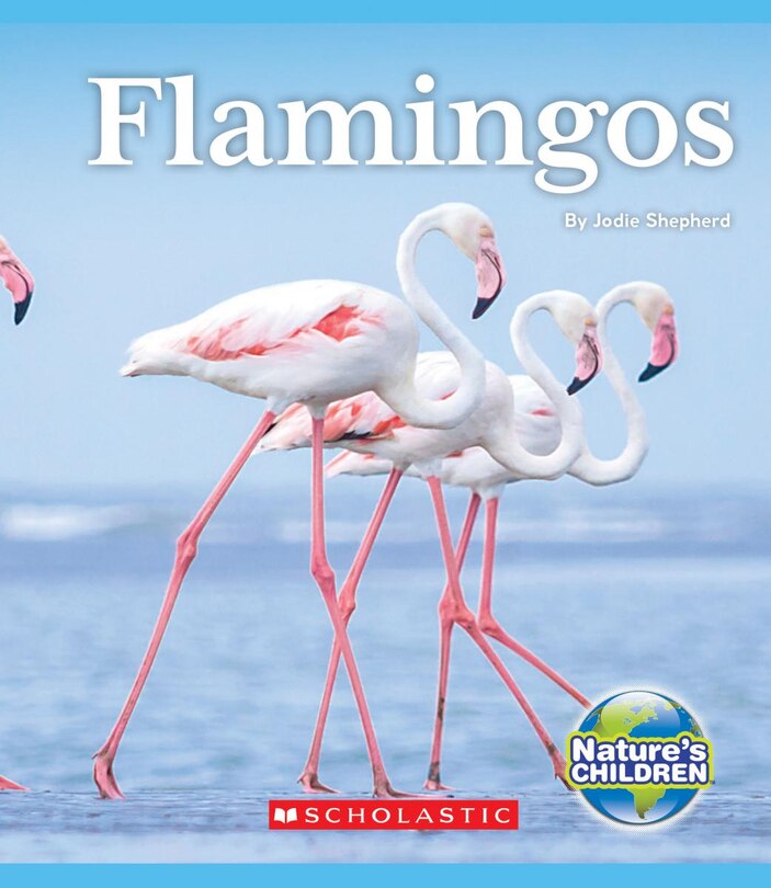 Front cover_Flamingos (Nature's Children) (Library Edition)