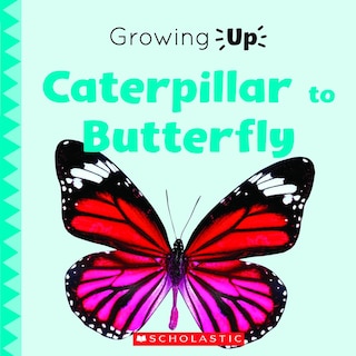 Front cover_Caterpillar To Butterfly (growing Up) (library Edition)