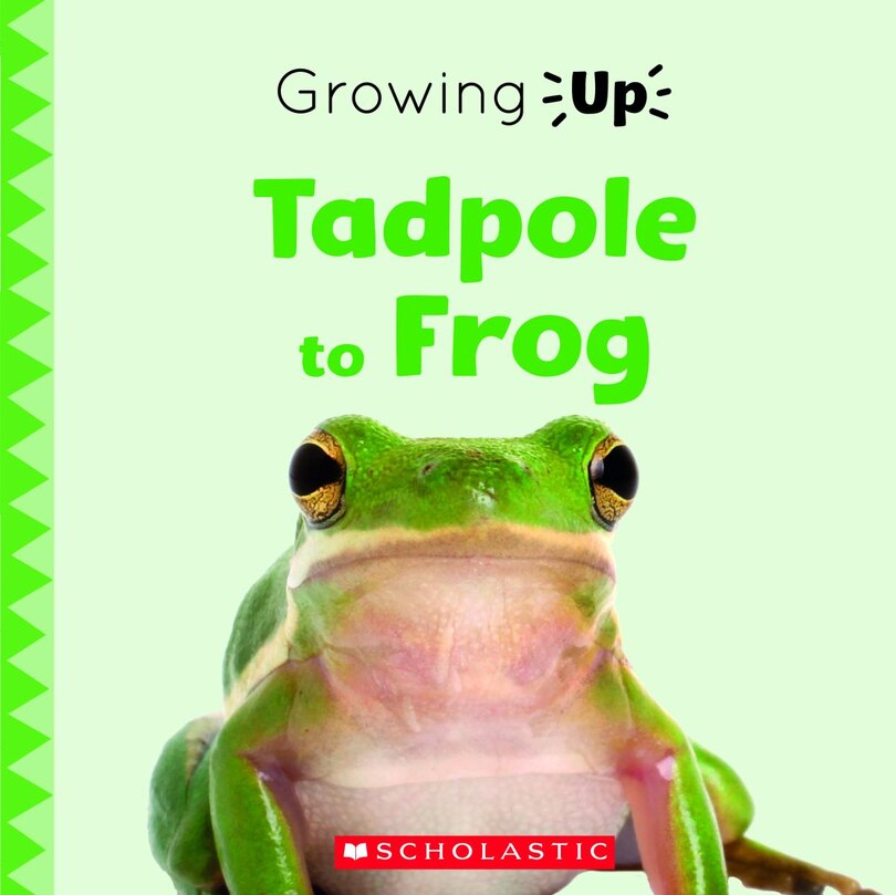 Front cover_Tadpole To Frog (growing Up) (library Edition)