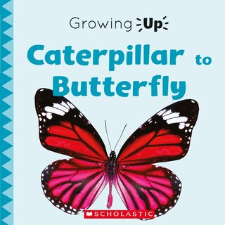 Couverture_Caterpillar To Butterfly (growing Up) (paperback)