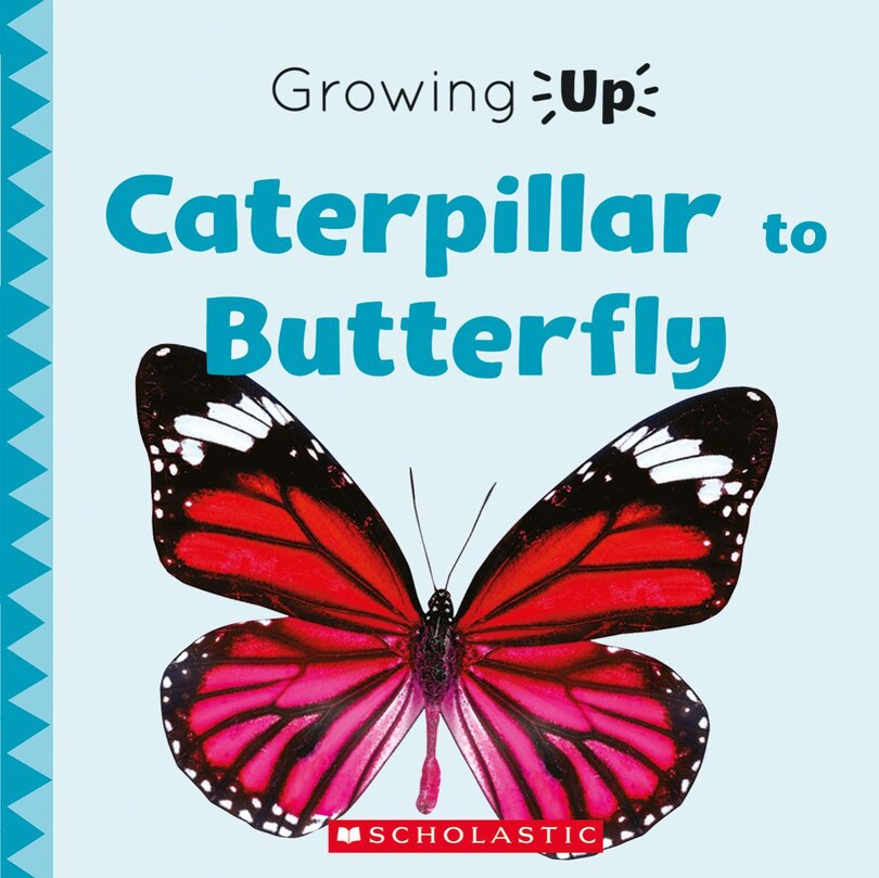 Couverture_Caterpillar To Butterfly (growing Up) (paperback)