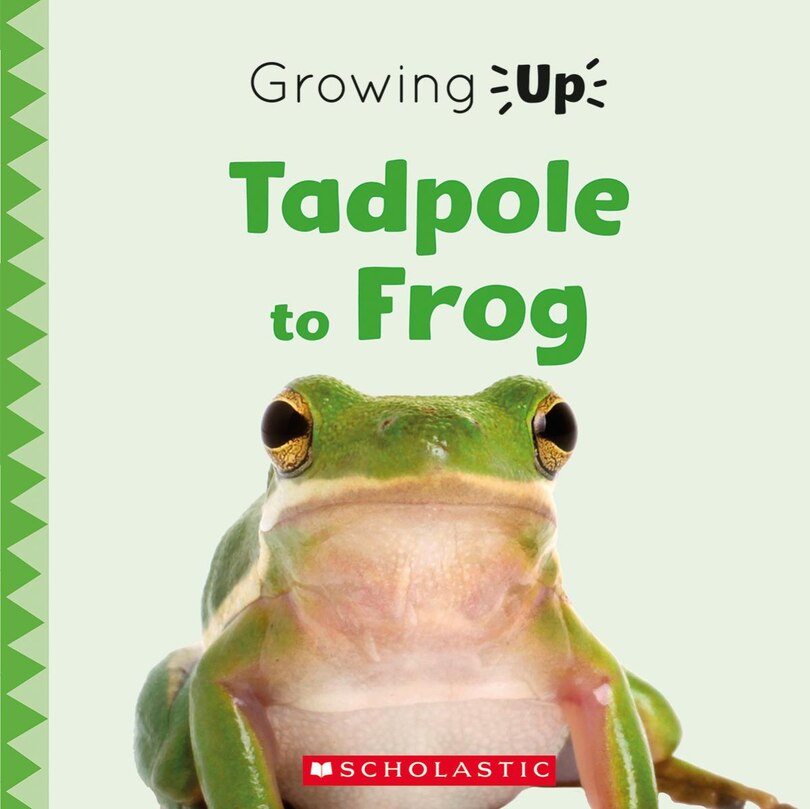 Front cover_Tadpole To Frog (growing Up) (paperback)