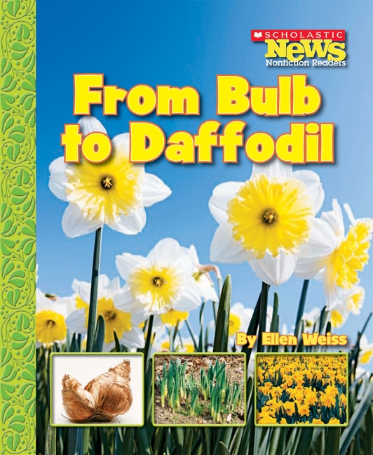 Couverture_From Bulb to Daffodil (Scholastic News Nonfiction Readers: How Things Grow)