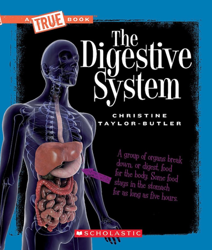 Front cover_The Digestive System (A True Book: Health and the Human Body)