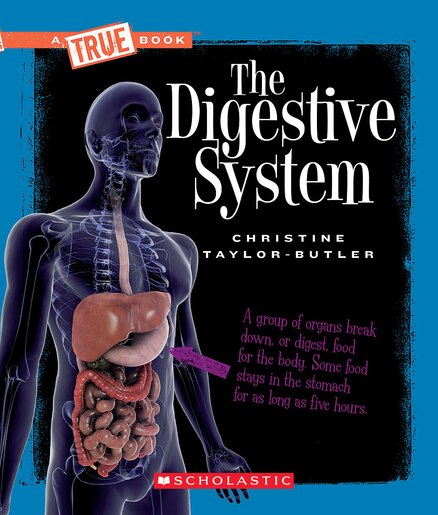 The Digestive System A True Book Health And The Human Body Book By Christine Taylor Butler Paperback Www Chapters Indigo Ca