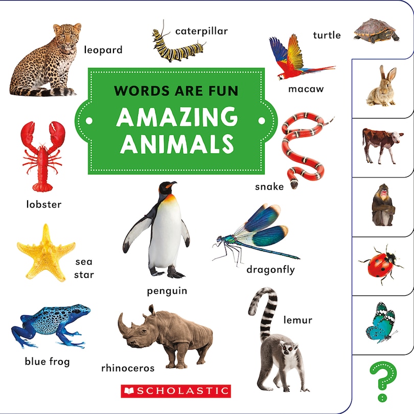 Front cover_Amazing Animals (words Are Fun)