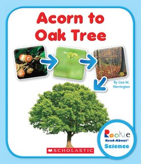 Couverture_Acorn to Oak Tree (Rookie Read-About Science: Life Cycles)