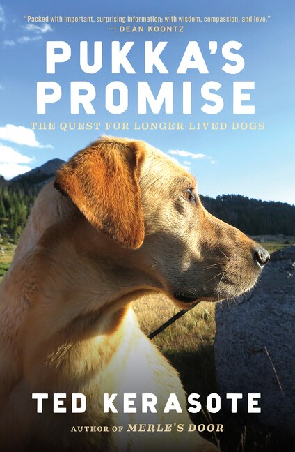 Couverture_Pukka's Promise