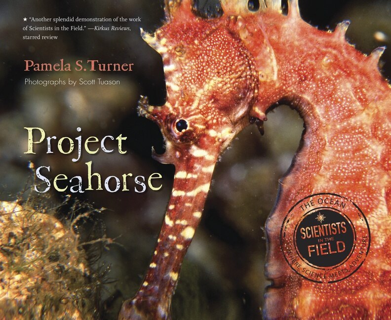 Front cover_Project Seahorse