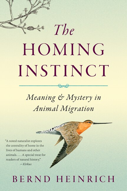 Front cover_The Homing Instinct