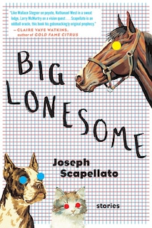 Front cover_Big Lonesome