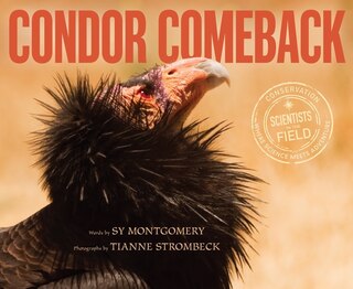 Couverture_Condor Comeback