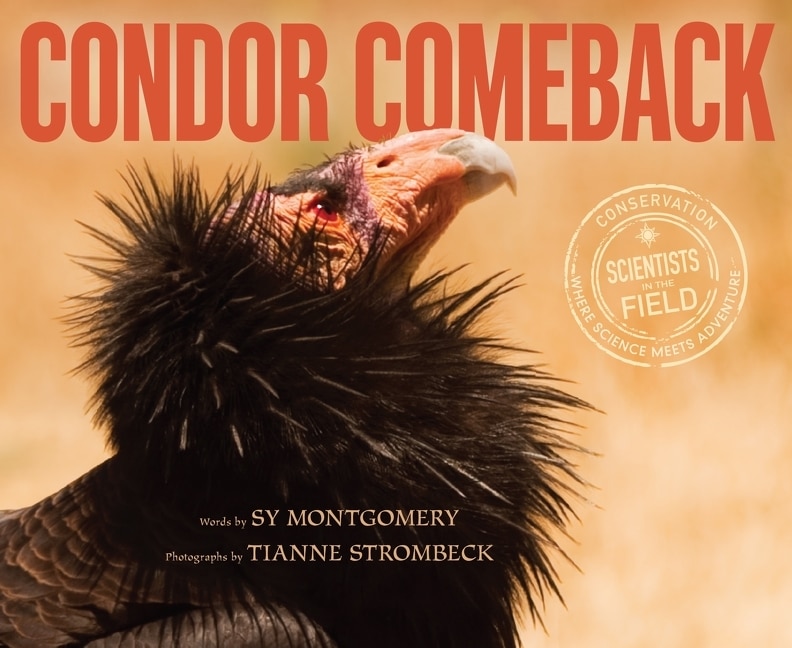 Couverture_Condor Comeback